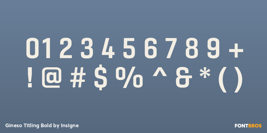 Gineso Titling Bold Font Poster #4