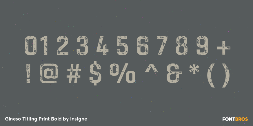 Gineso Titling Print Bold Font Poster #1