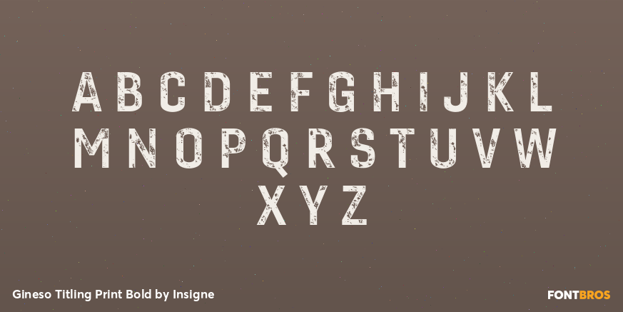 Gineso Titling Print Bold Font Poster #1