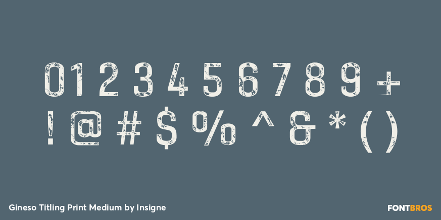 Gineso Titling Print Medium Font Poster #1