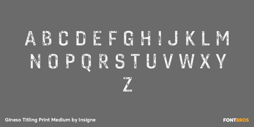 Gineso Titling Print Medium Font Poster #1