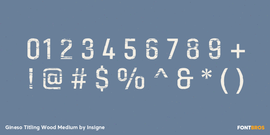 Gineso Titling Wood Medium Font Poster #1