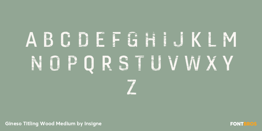Gineso Titling Wood Medium Font Poster #3