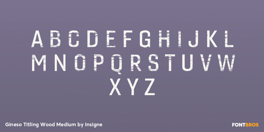Gineso Titling Wood Medium Font Poster #1