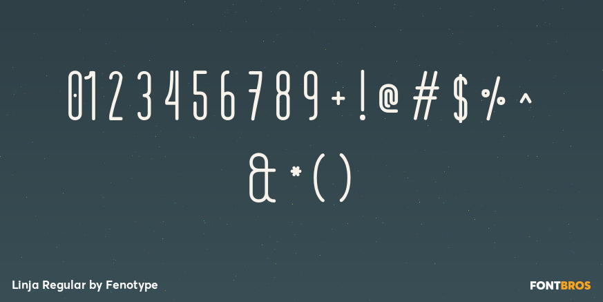 Linja Regular Font Poster #1