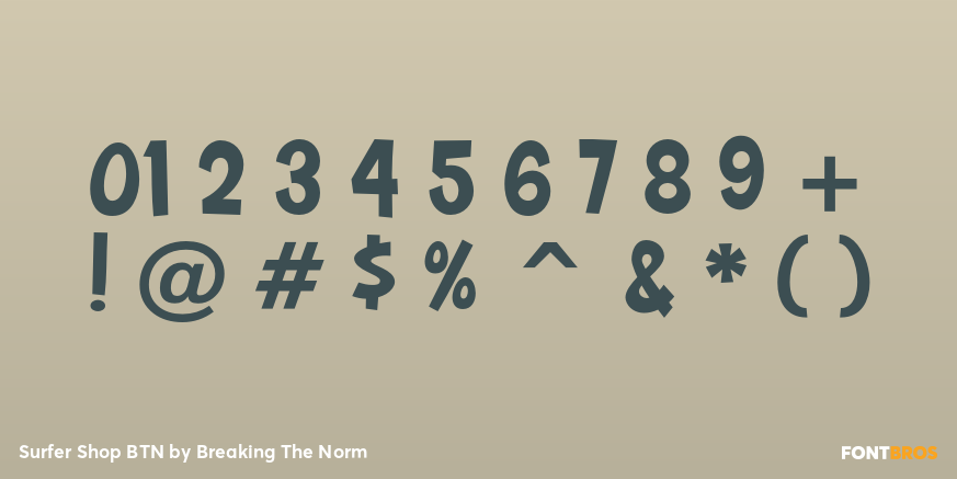 Surfer Shop BTN Font Poster #4