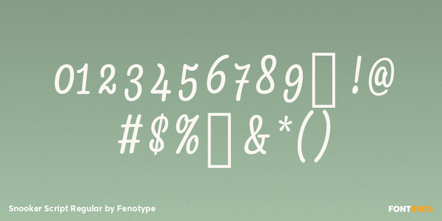 Snooker Script Regular Font Poster #4