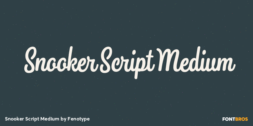 Snooker Script Medium Font Poster #1