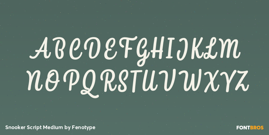 Snooker Script Medium Font Poster #2