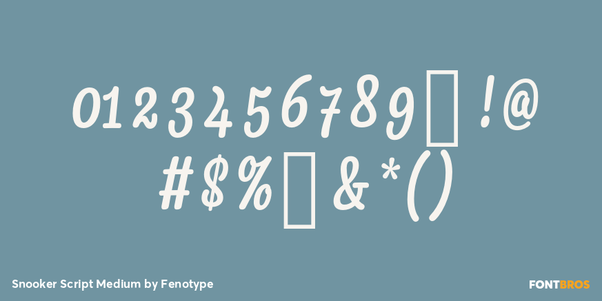 Snooker Script Medium Font Poster #4