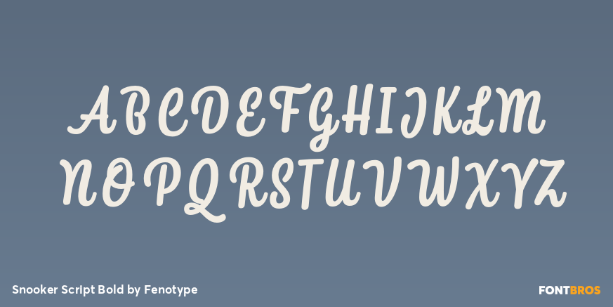 Snooker Script Bold Font Poster #2