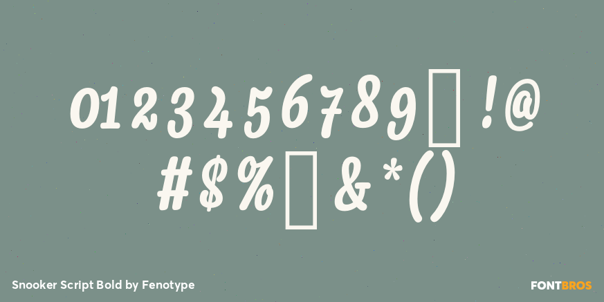Snooker Script Bold Font Poster #4