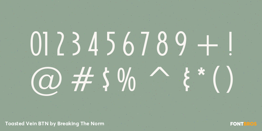 Toasted Vein BTN Font Poster #4