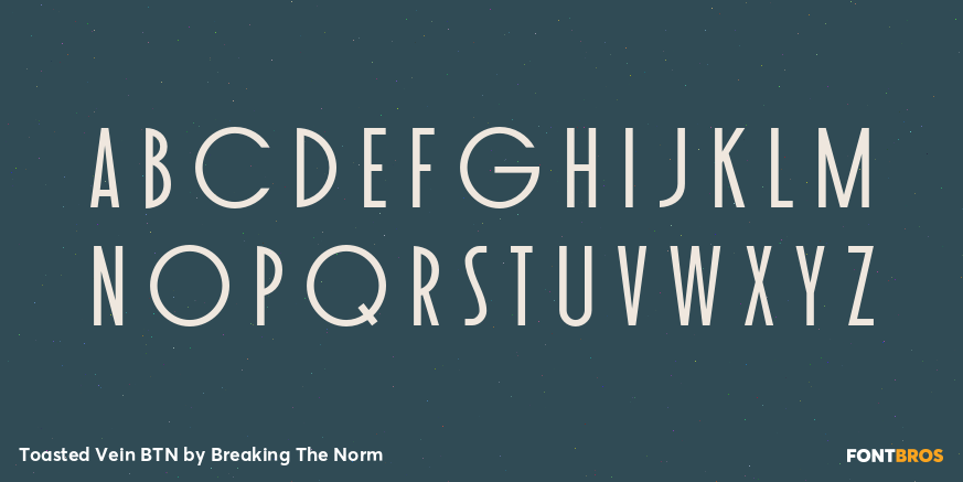 Toasted Vein BTN Font Poster #1