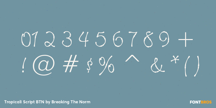 Tropicali Script BTN Font Poster #4