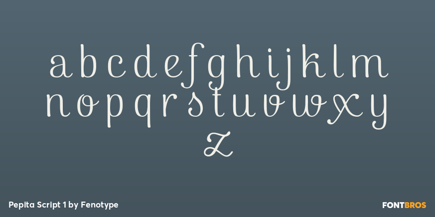 Pepita Script 1 Font Poster #3