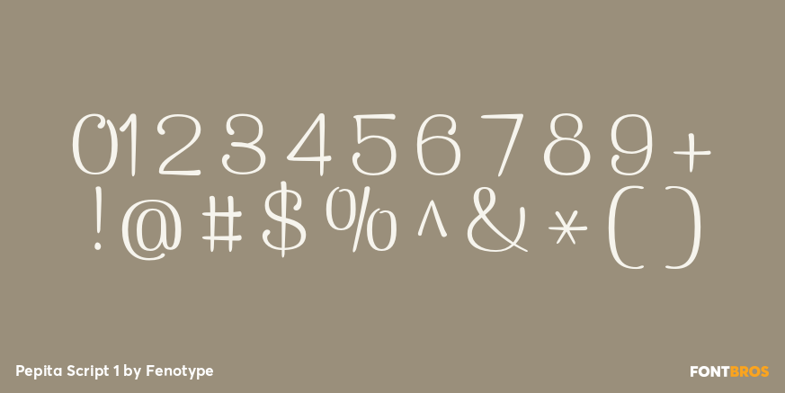 Pepita Script 1 Font Poster #4