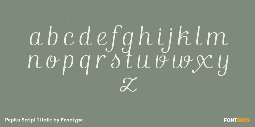 Pepita Script 1 Italic Font Poster #3