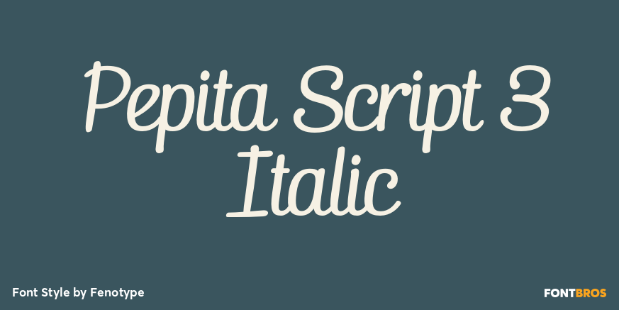 Pepita Script 3 Italic Font Poster #1