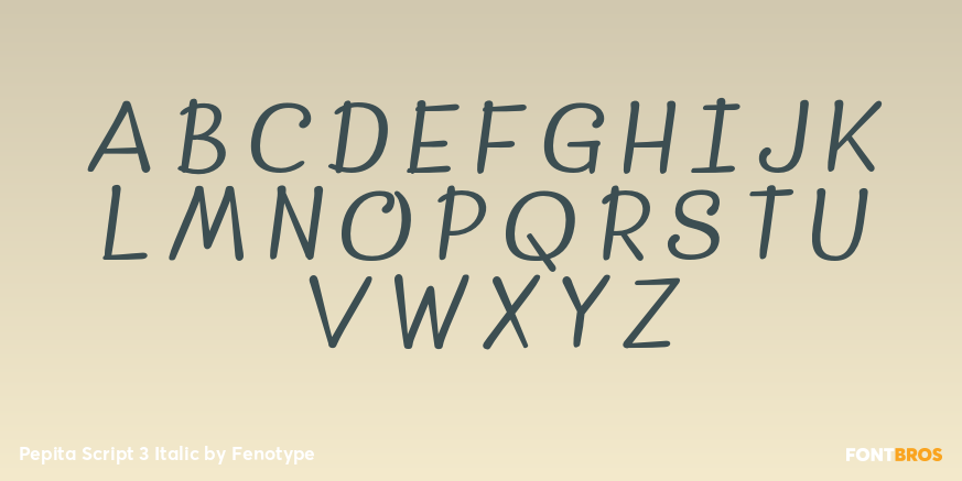 Pepita Script 3 Italic Font Poster #1