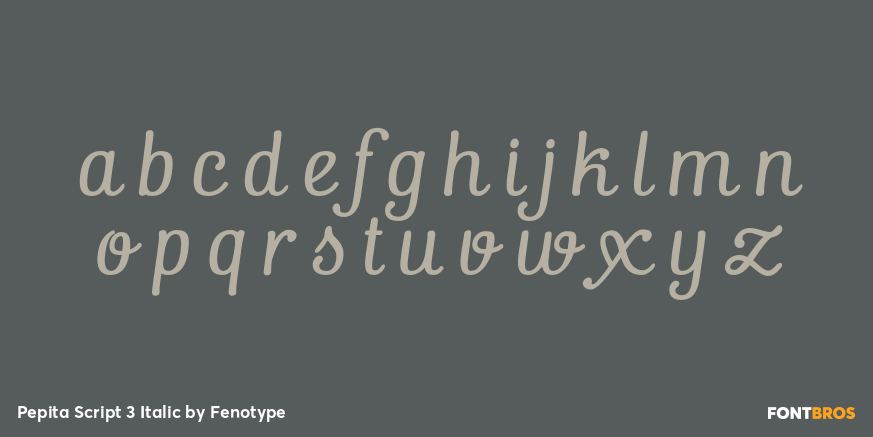 Pepita Script 3 Italic Font Poster #1
