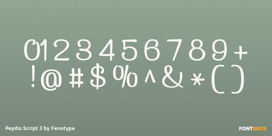 Pepita Script 3 Font Poster #4