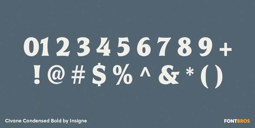 Civane Condensed Bold Font Poster #4