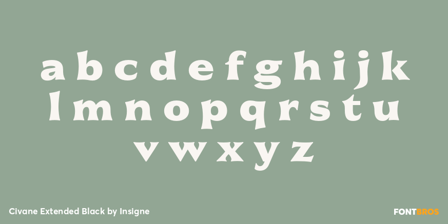 Civane Extended Black Font Poster #3