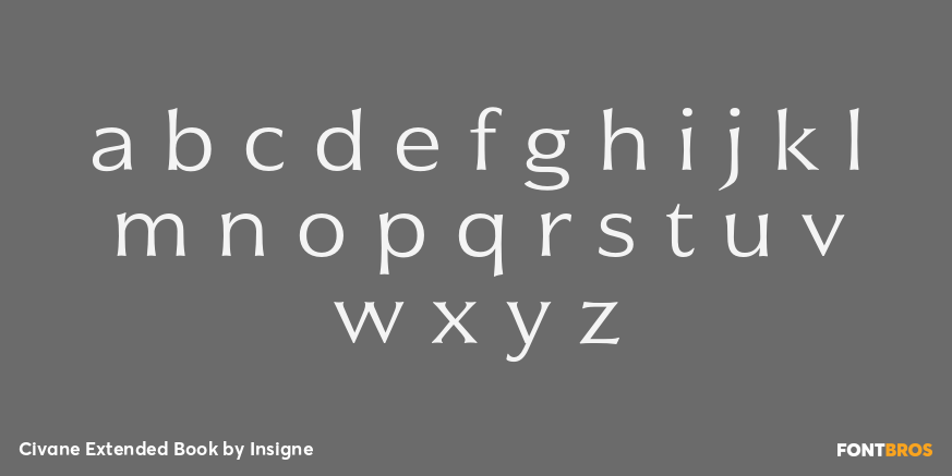 Civane Extended Book Font Poster #3