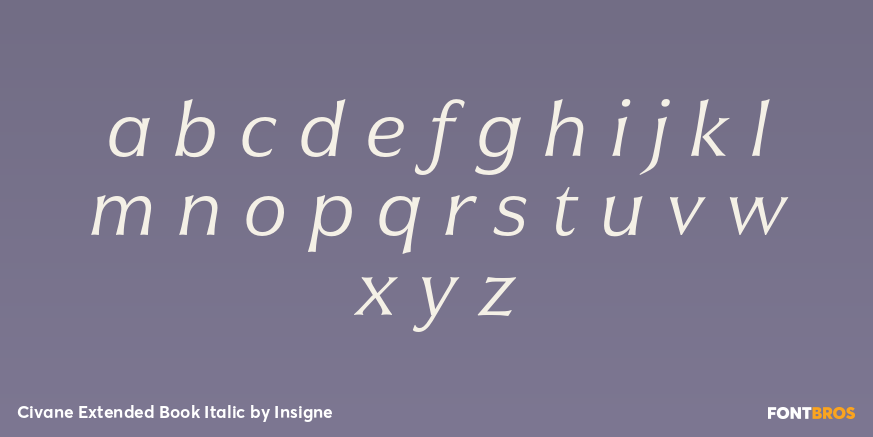 Civane Extended Book Italic Font Poster #3