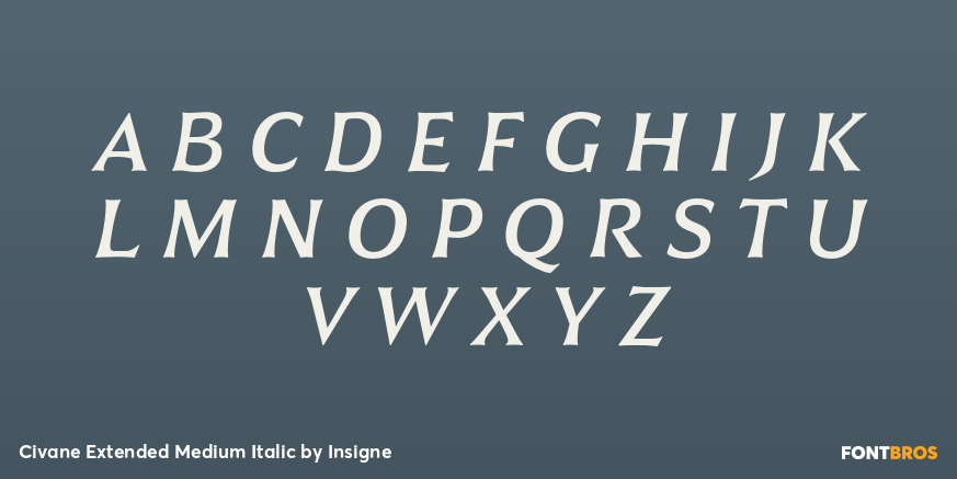 Civane Extended Medium Italic Font Poster #2