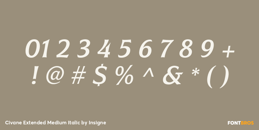 Civane Extended Medium Italic Font Poster #4