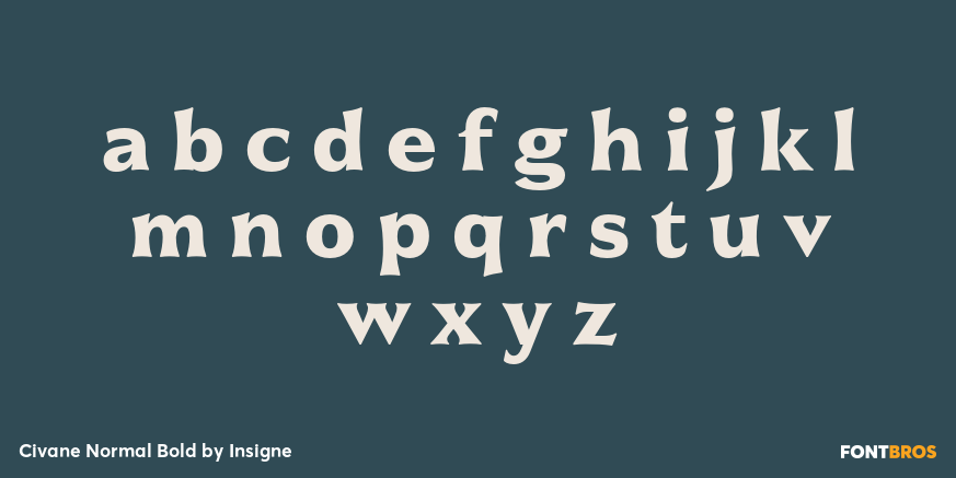 Civane Normal Bold Font Poster #3
