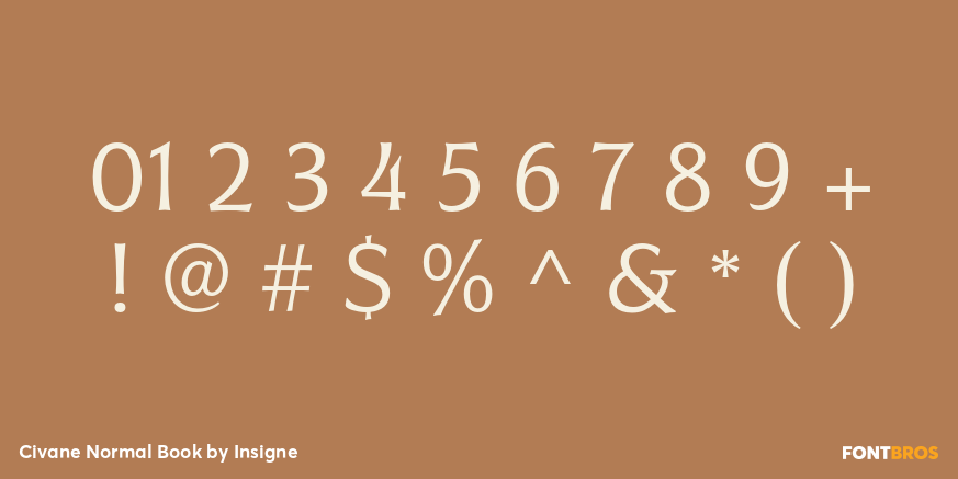 Civane Normal Book Font Poster #4