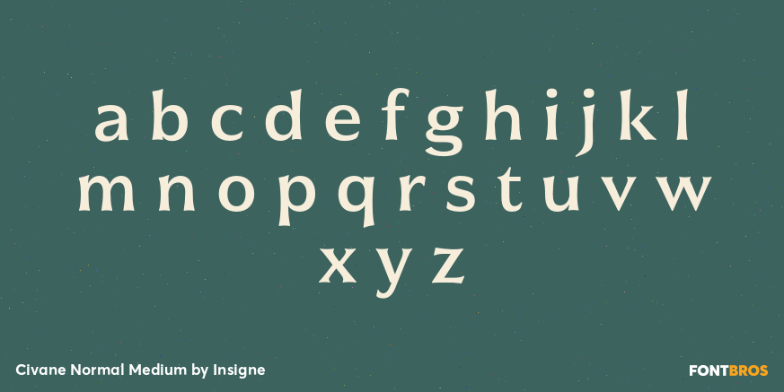 Civane Normal Medium Font Poster #3