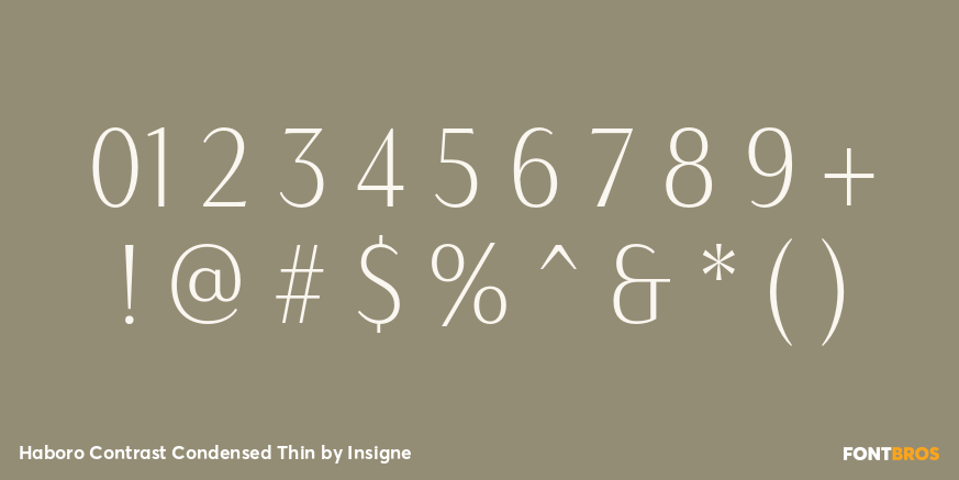 Haboro Contrast Condensed Thin Font Poster #4
