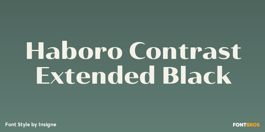 Haboro Contrast Extended Black Font Poster #1