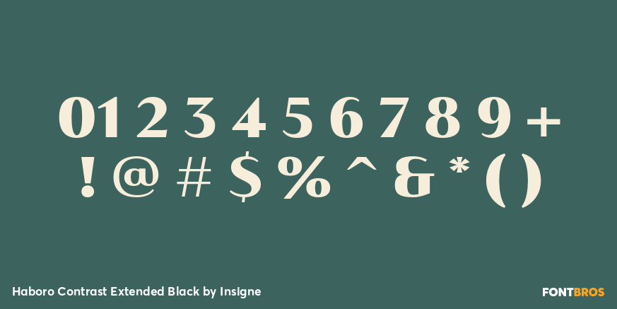 Haboro Contrast Extended Black Font Poster #4