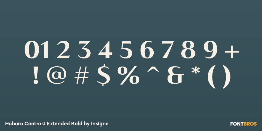 Haboro Contrast Extended Bold Font Poster #4
