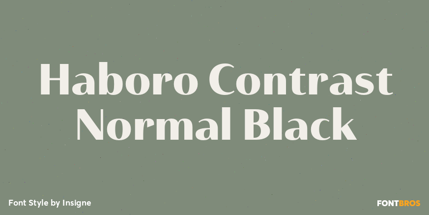 Haboro Contrast Normal Black Poster