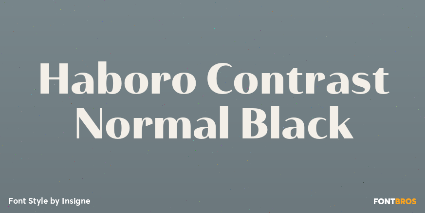 Haboro Contrast Normal Black Poster