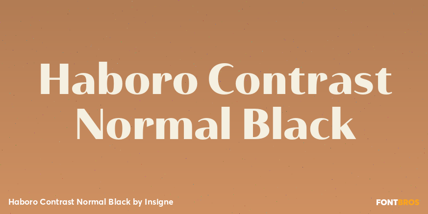 Haboro Contrast Normal Black Poster