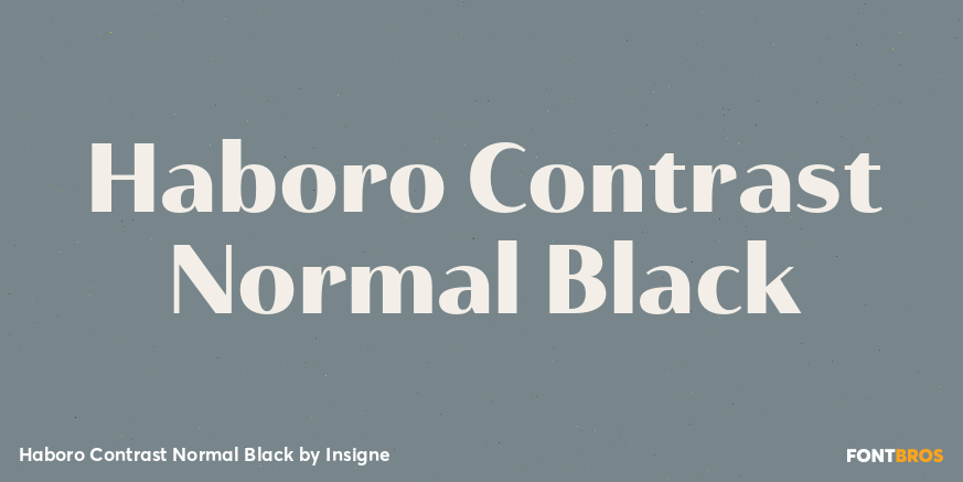 Haboro Contrast Normal Black Poster