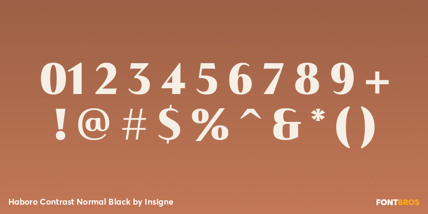 Haboro Contrast Normal Black Font Poster #4