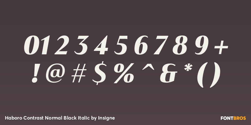 Haboro Contrast Normal Black Italic Font Poster #4