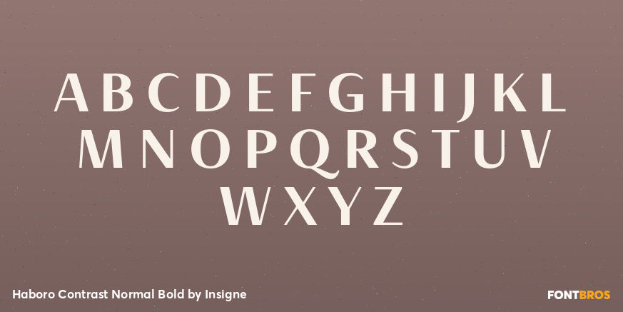 Haboro Contrast Normal Bold Font Poster #2