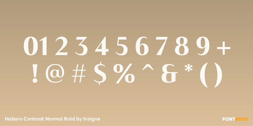 Haboro Contrast Normal Bold Font Poster #4