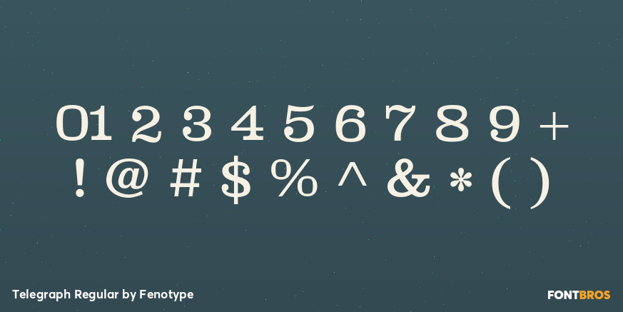 Telegraph Regular Font Poster #4