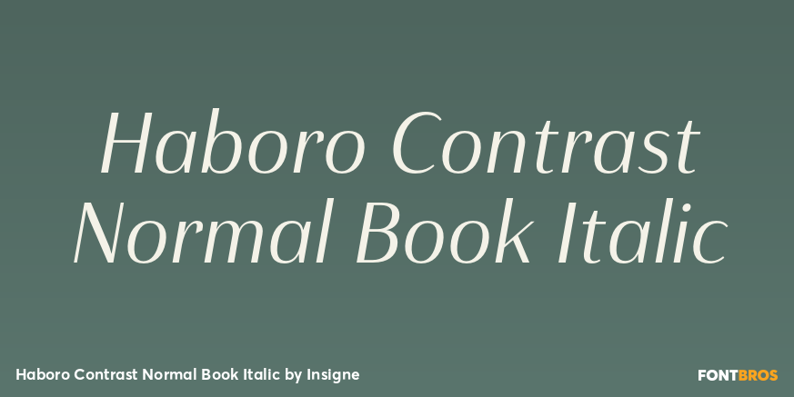 Haboro Contrast Normal Book Italic Font Poster #1