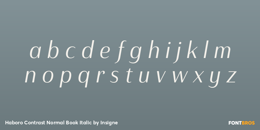 Haboro Contrast Normal Book Italic Font Poster #3